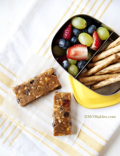 homemade lara bars 2 MOMables.com