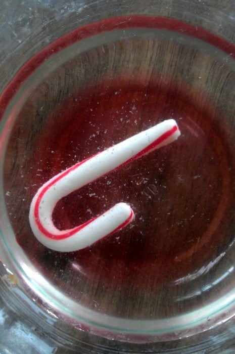 A fun experiment for the kids to do with candy canes and any other candy laying around the house. 