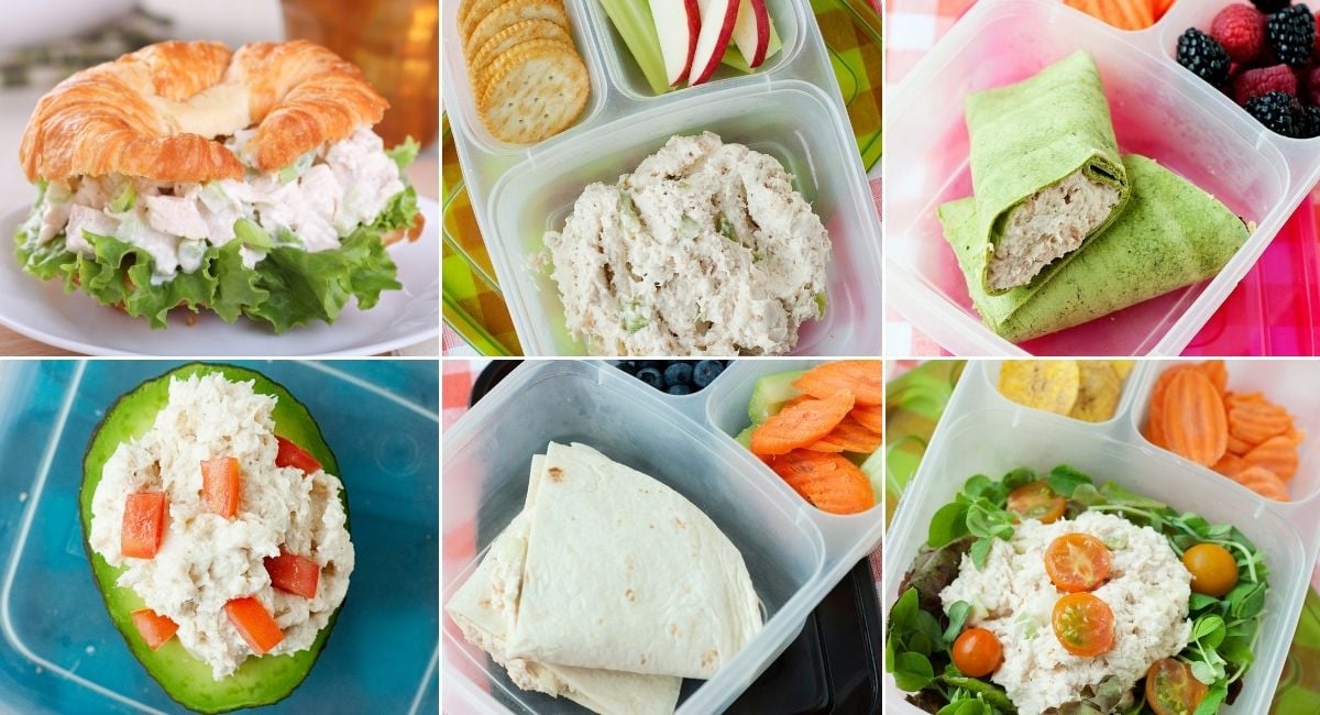 collage image with six chicken salad lunch ideas