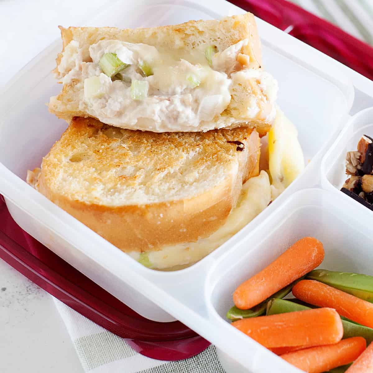 Grilled Tuna Melt Sandwich Lunch