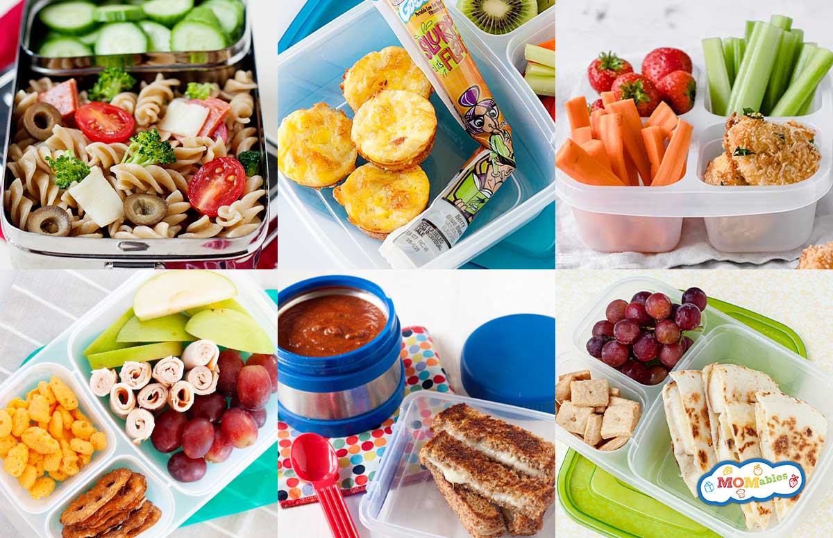 an image collage of healthy preschool lunch ideas for picky eaters