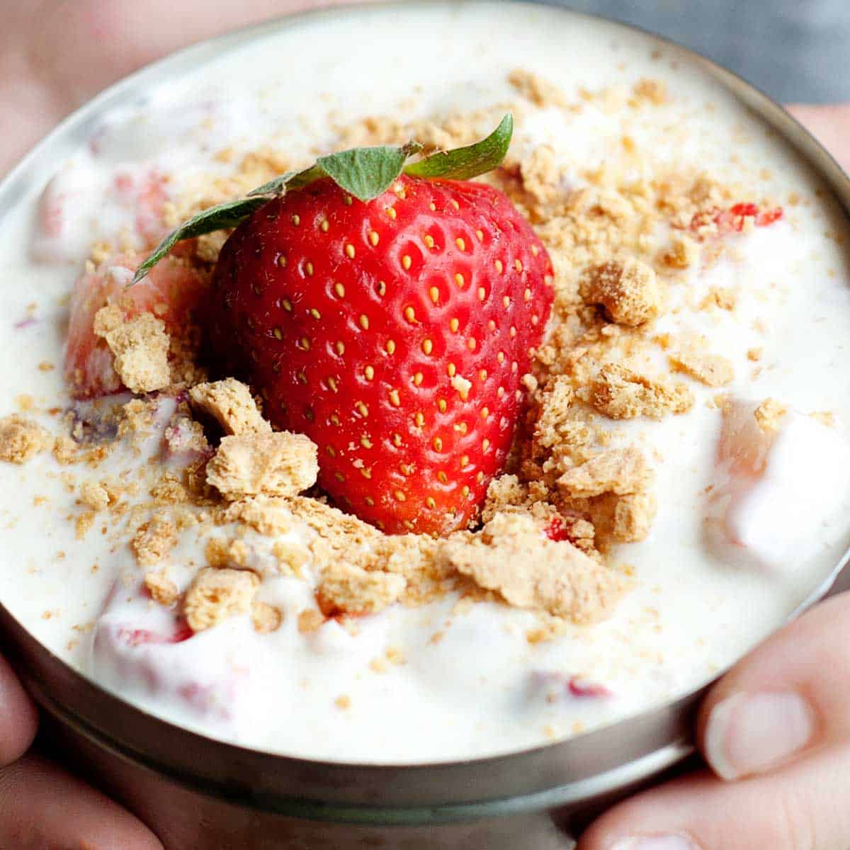 Fruit and Yogurt Lunchbox Parfait