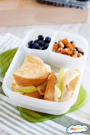 8 Vegetarian School Lunch Ideas | MOMables Lunches
