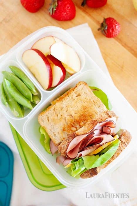 image: toasted ham sandwich in a divided lunch container with apple slices and snow peas in smaller container slots.