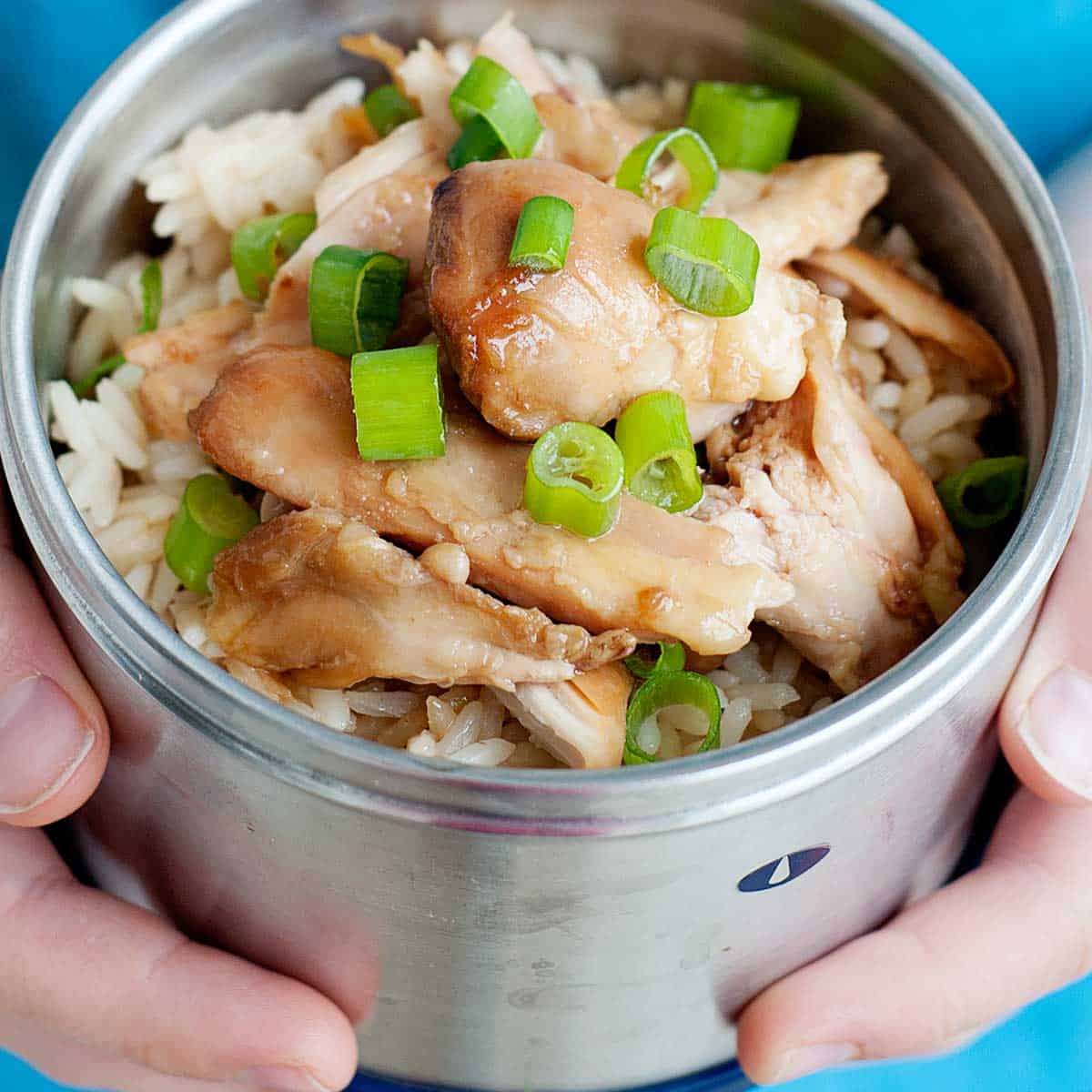 Teriyaki Chicken Thermos Lunch Bowls