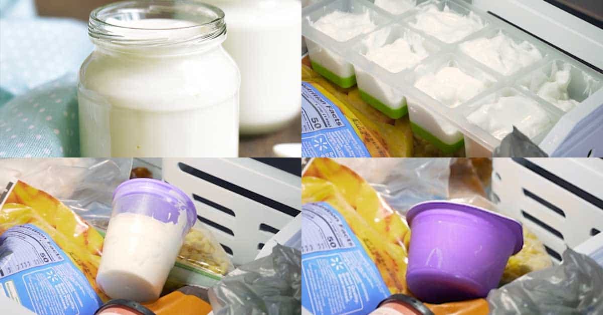 Can You Freeze Yogurt? (Yes, Here's How!) | MOMables