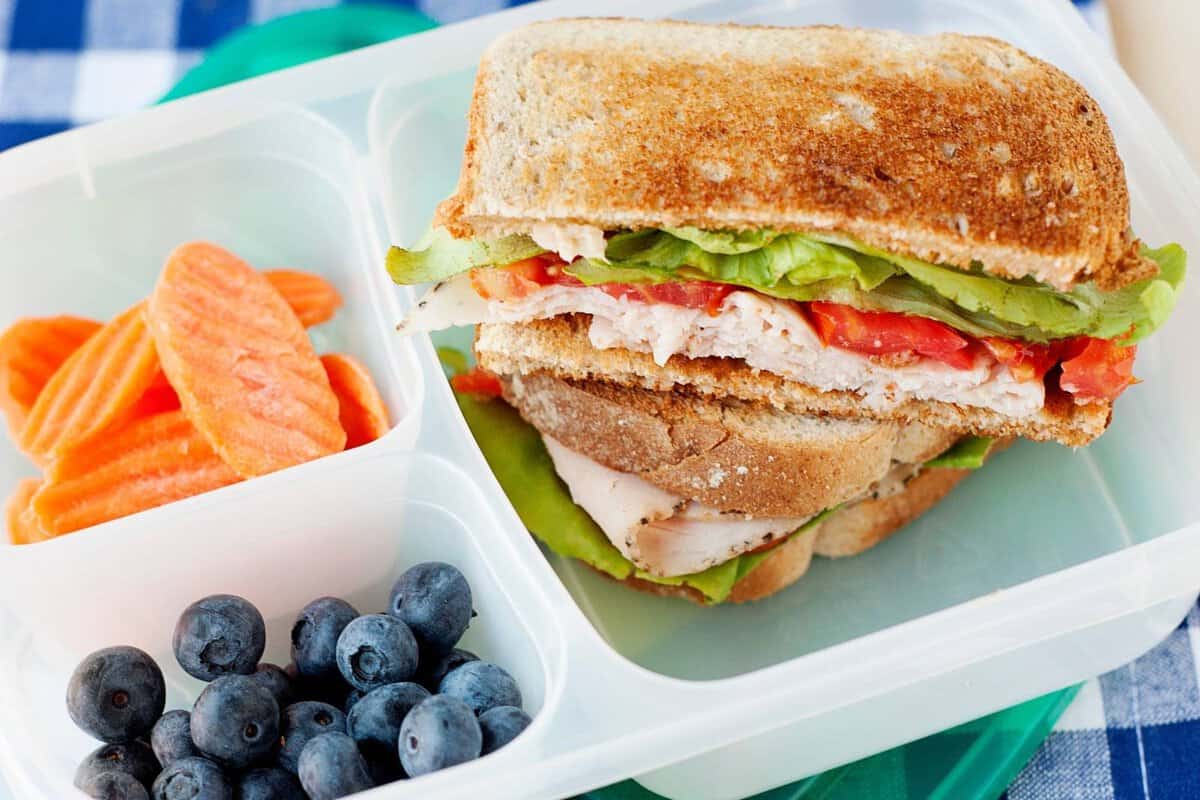 A grilled turkey sandwich packed into a lunch container with berries and carrots.