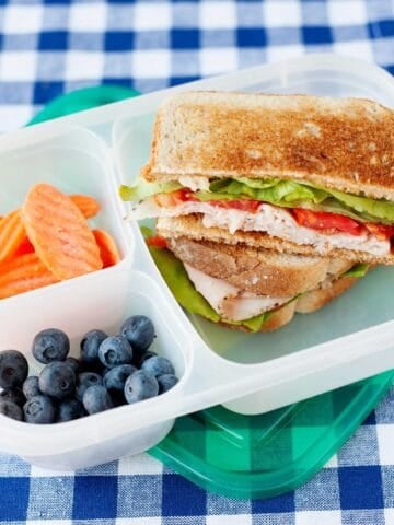 A grilled turkey sandwich packed into a lunch container with berries and carrots.