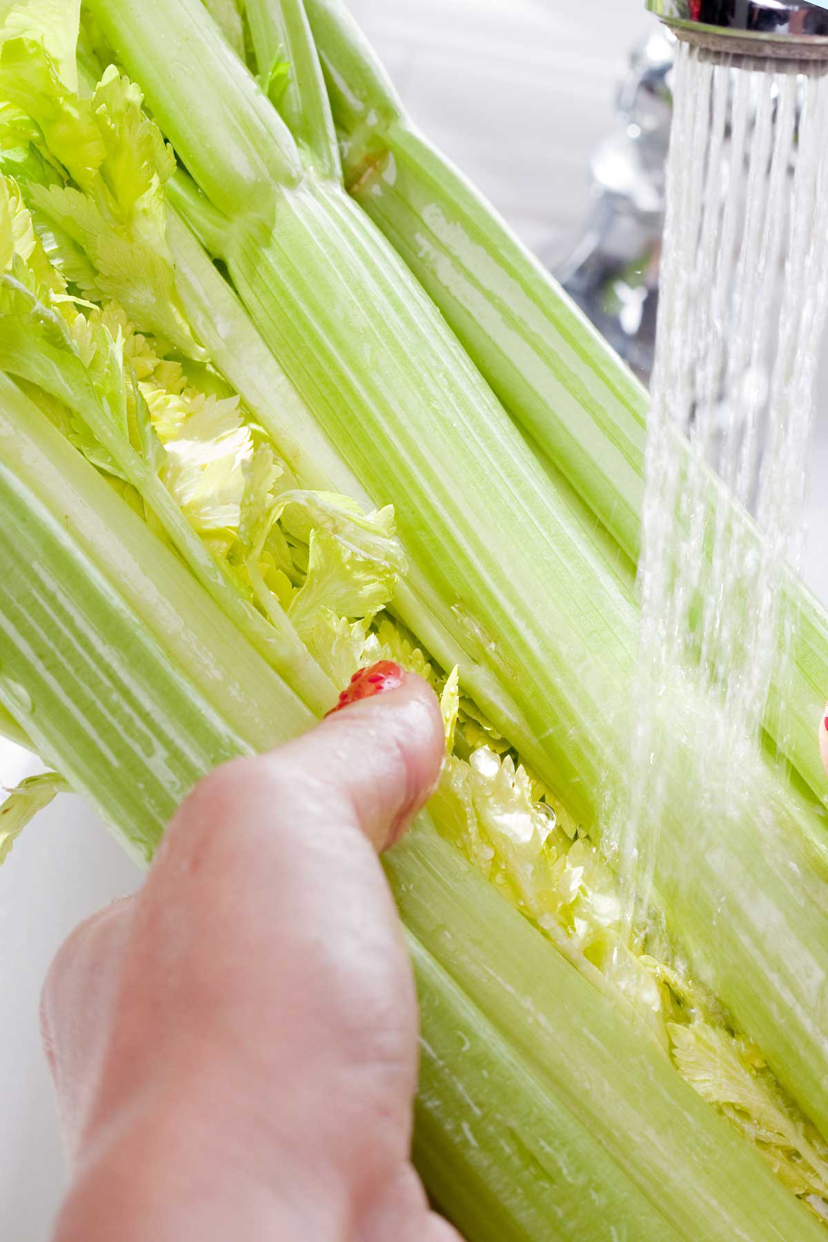 celery stalks being run under water