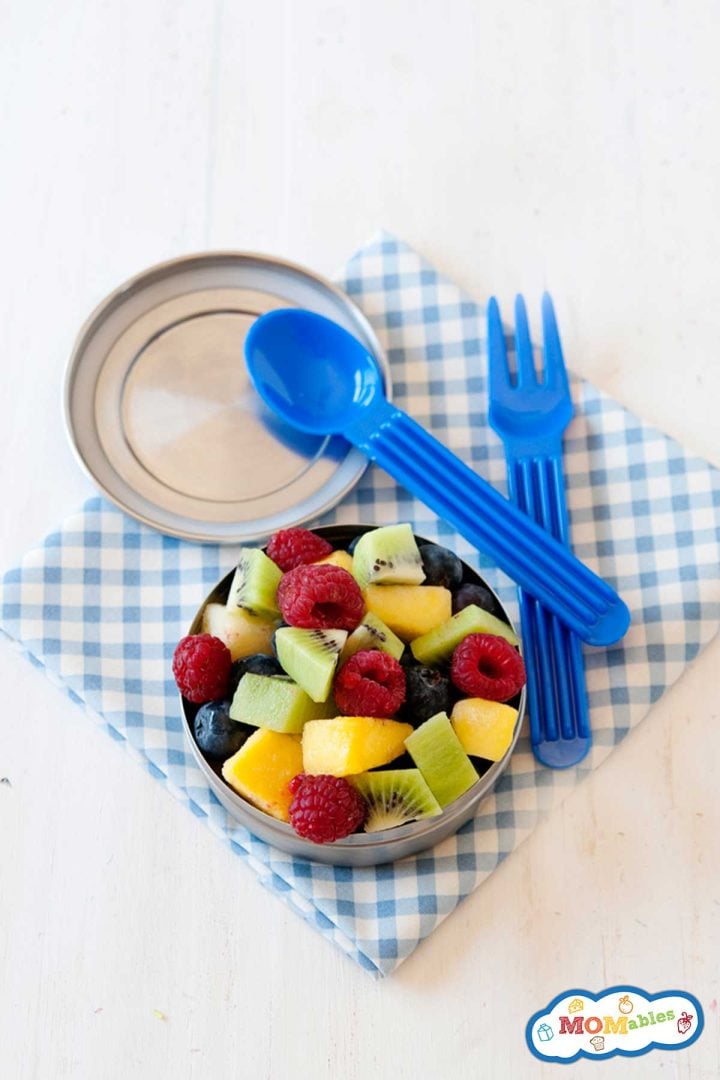 Homemade Fruit Salad Lunch Cups MOMables