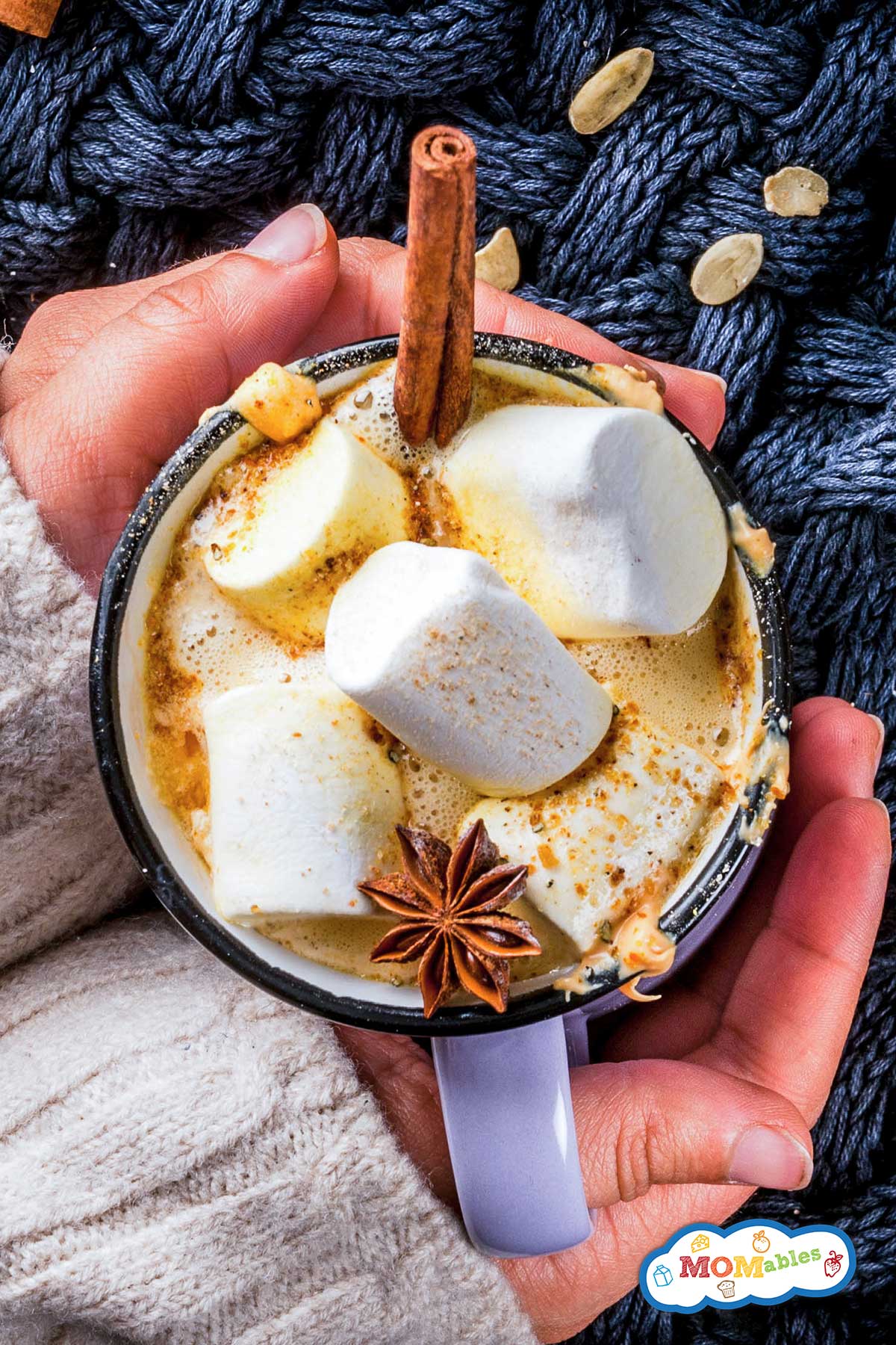 two hands holding a cup of pumpkin hot chocolate with marshmallows and a cinnamon stick