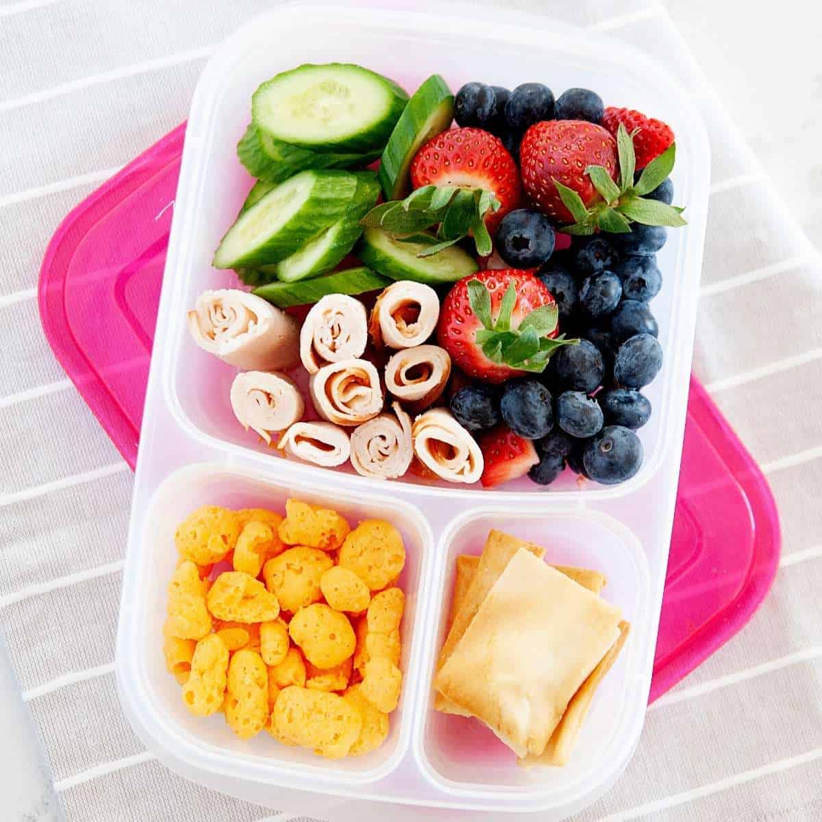 Picnic Bento Lunch Box