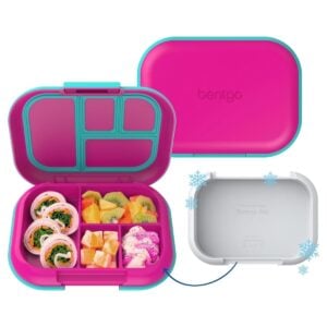 bento in one with built-in ice pack