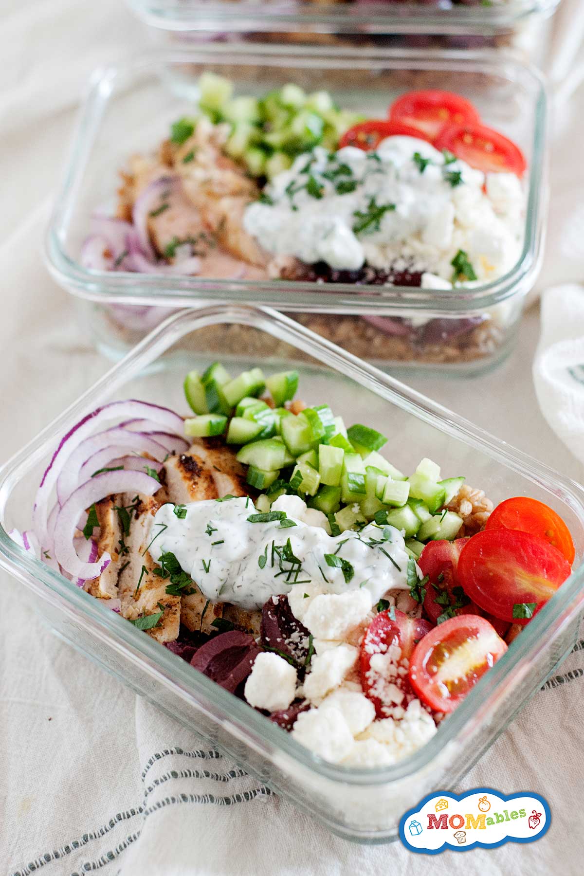 two mediterranean lunch bowls for teens