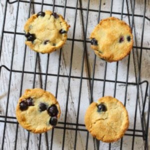 paleo scones