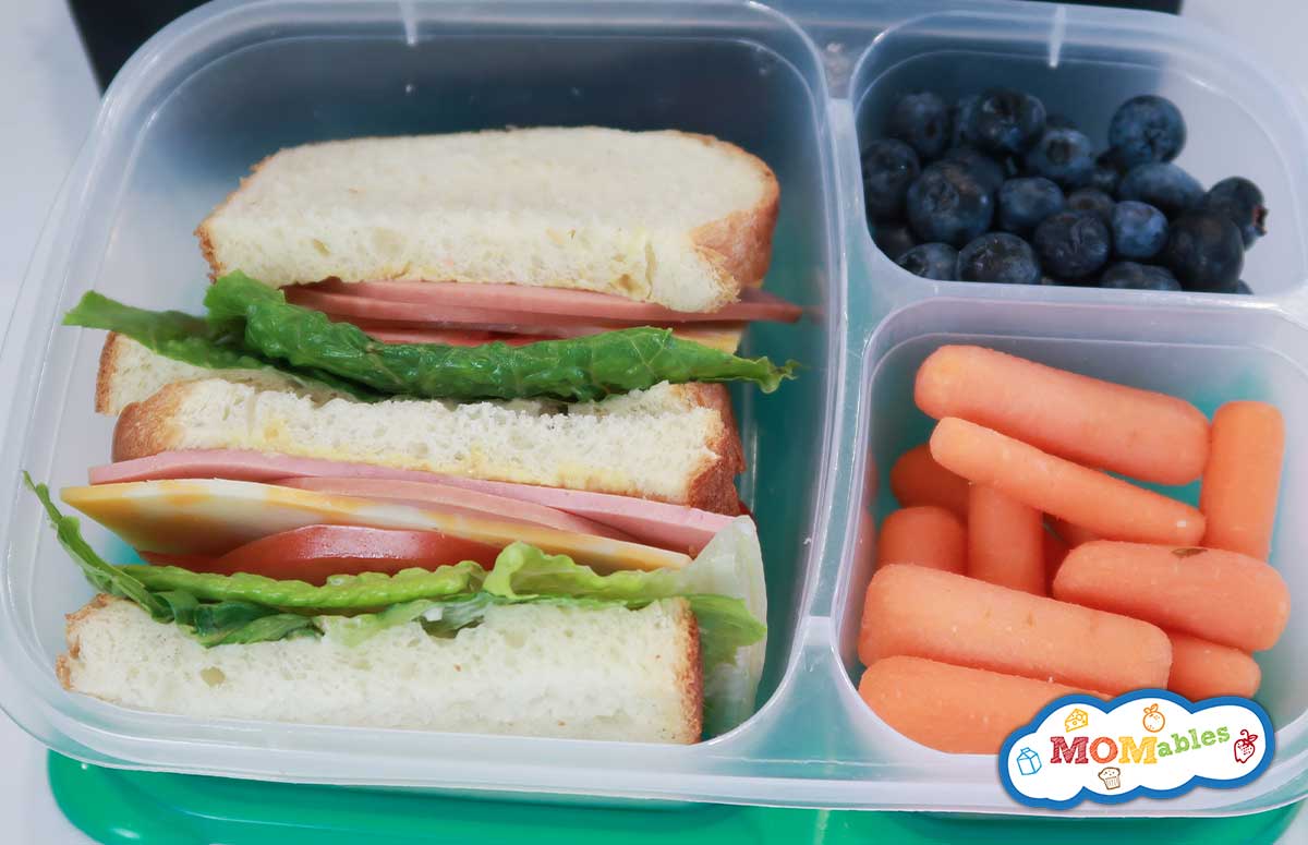 bologna and cheese sandwich in a lunchbox with blueberries and strawberries on the side
