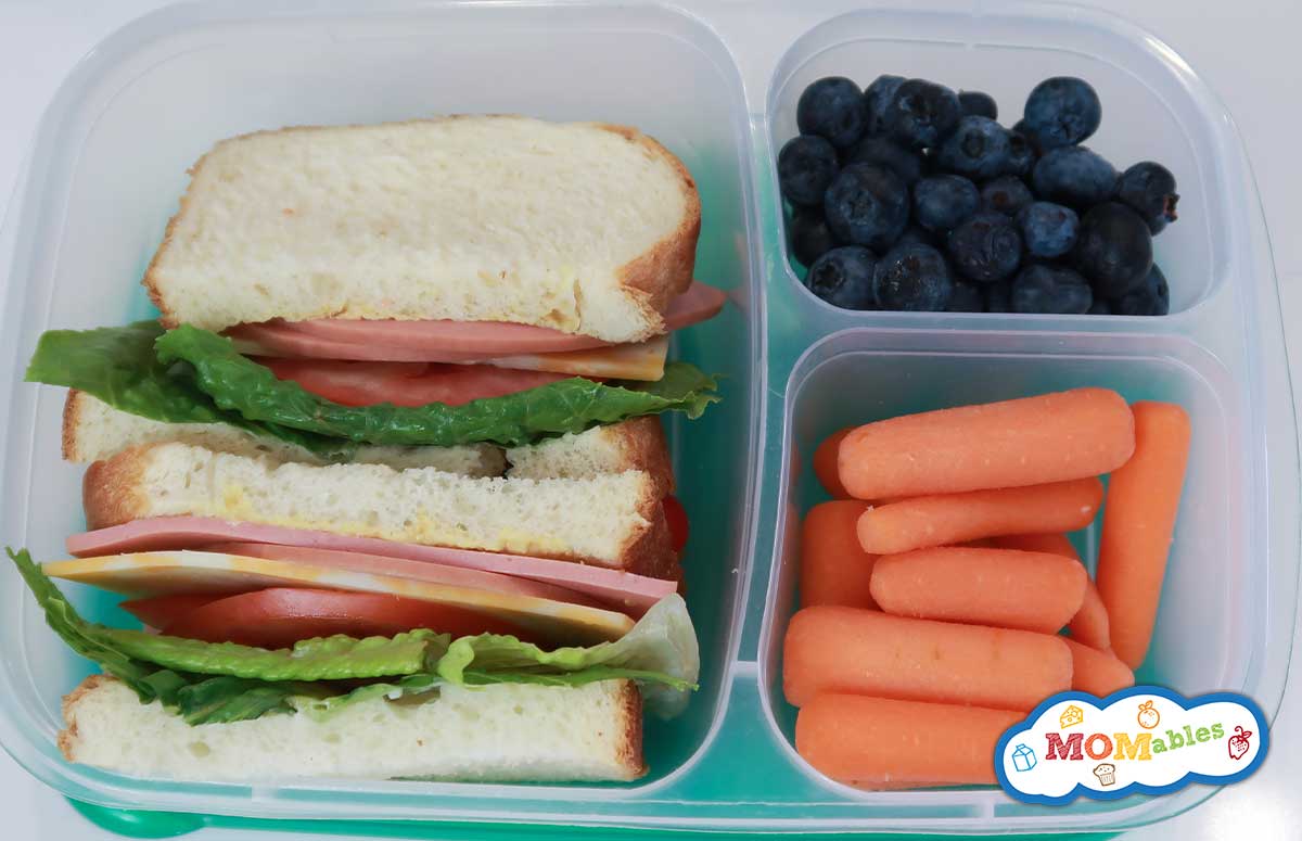 bologna and cheese sandwich in a lunchbox with blueberries and strawberries on the side