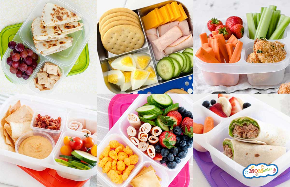 an image collage of packed lunch ideas for kids