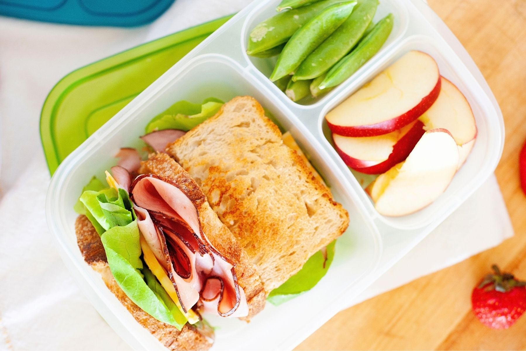 toasted ham and cheese sandwich in a lunch container with sliced apples