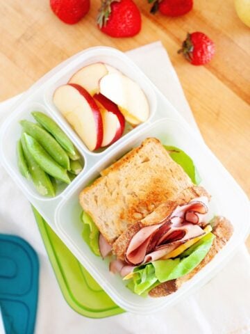 toasted ham and cheese sandwich in a lunch container with sliced apples