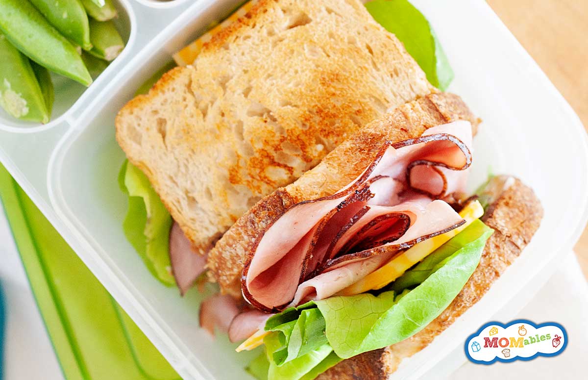 toasted ham and cheese sandwich in a lunch container with sliced apples 