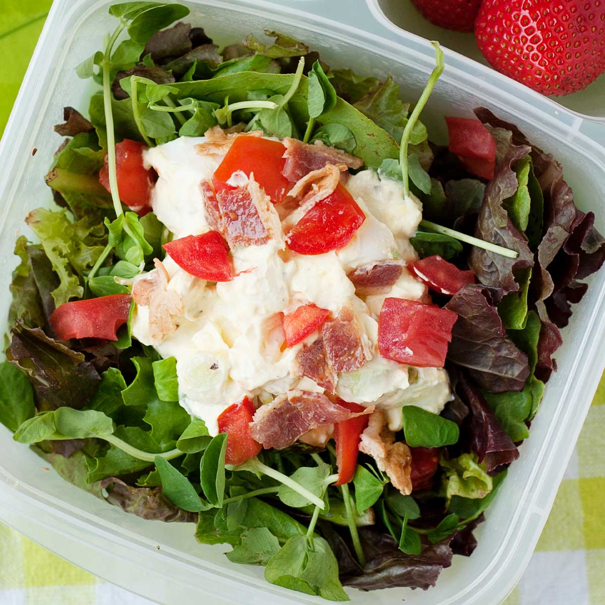Healthy School Lunch Ideas with Egg Salad | MOMables