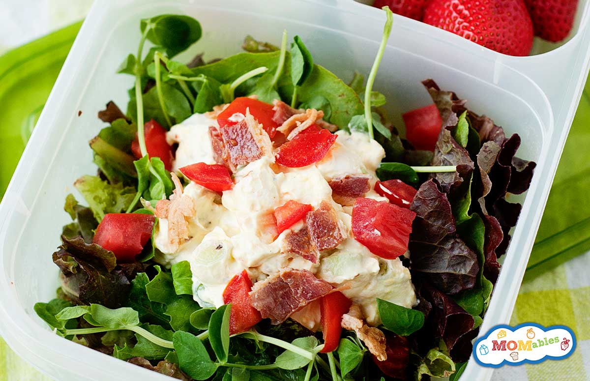 egg salad over lettuce in a lunch container