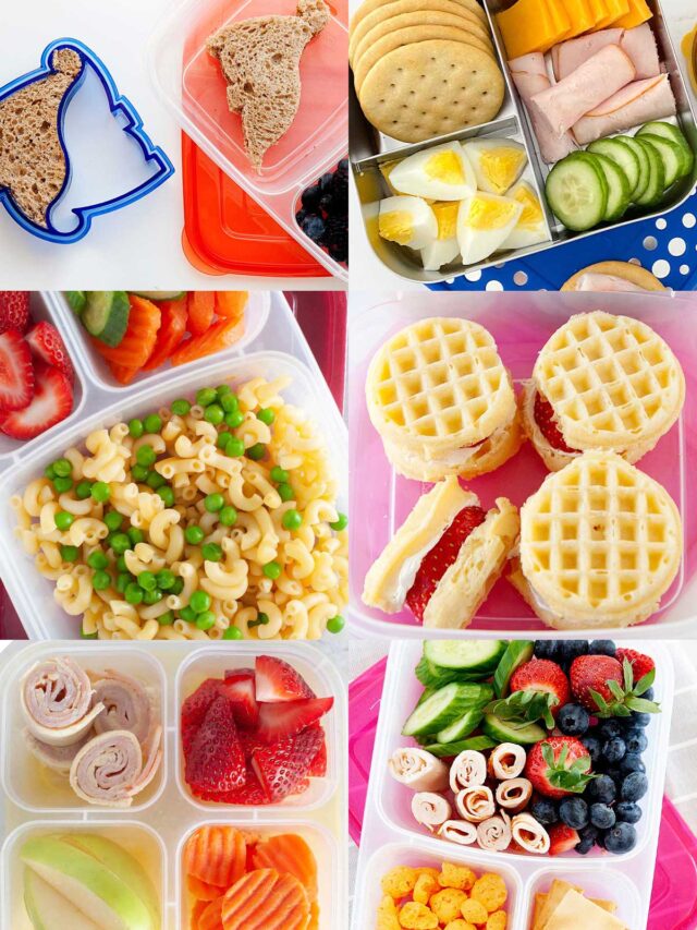 best-fruits-for-school-lunches-momables