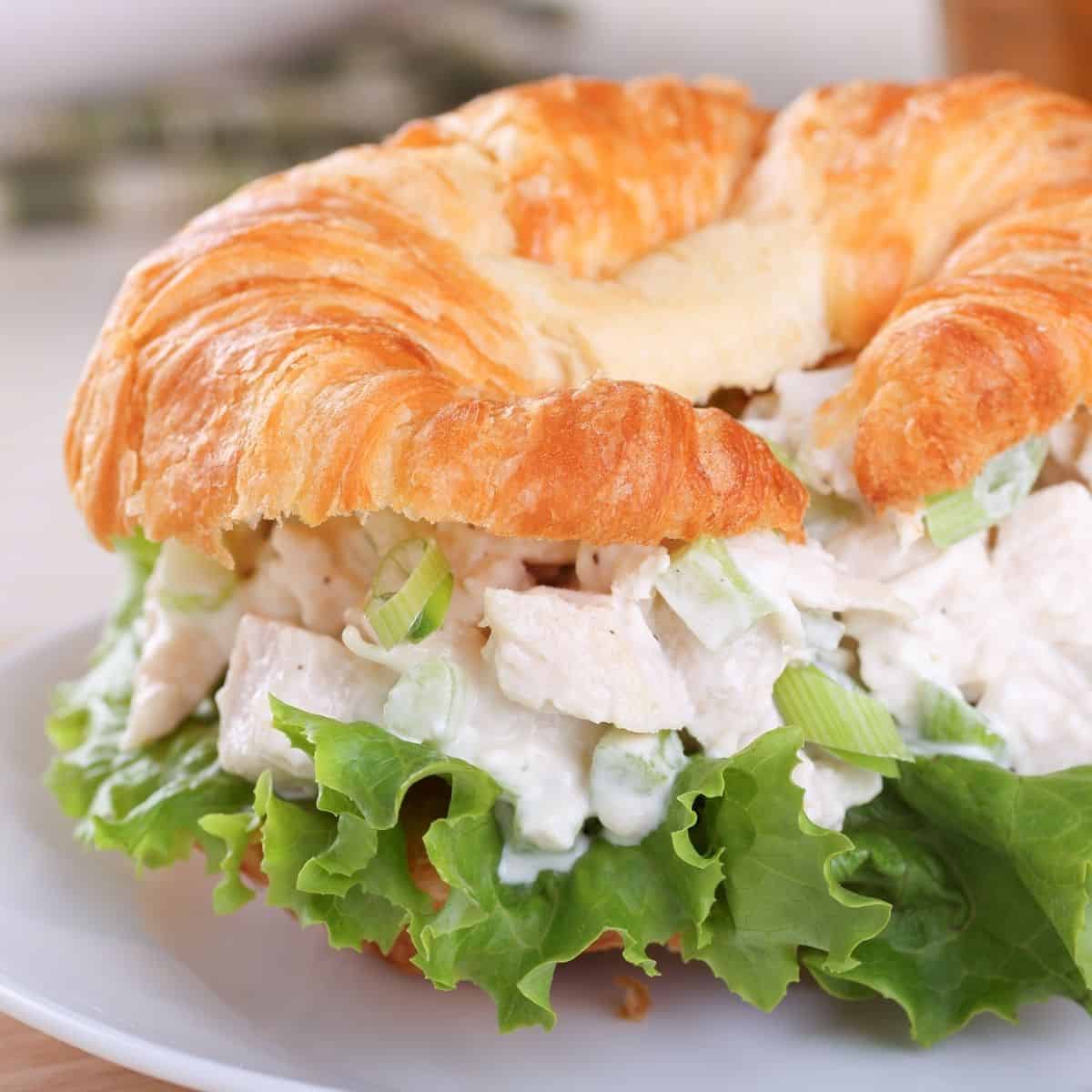 Chicken Salad Croissant