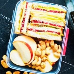 small lunch container with salami sandwich, apple slices and nuts