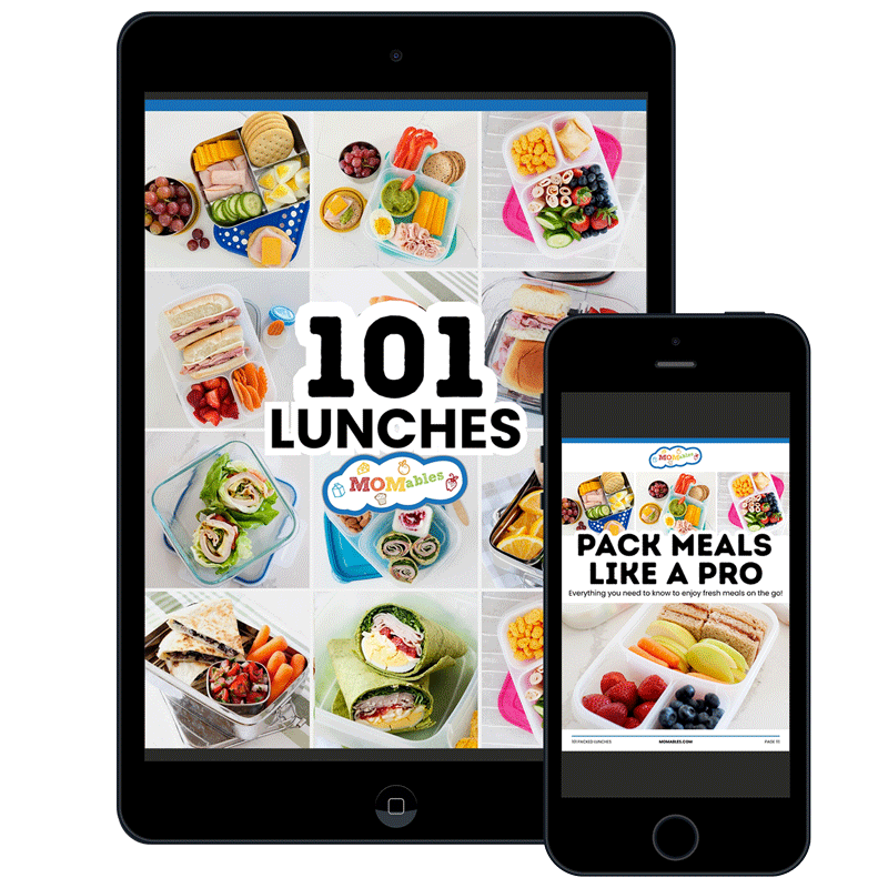 101 packed lunches on an ipad with a lunch packing tips ebook on an iphone